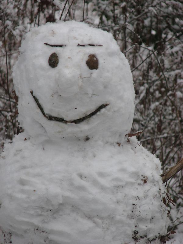 2008-12-07_First_Snow 052.jpg
